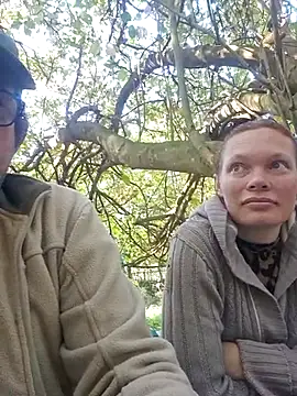 Show webcam de TryingWind