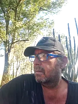 TryingWind Live Chatraum