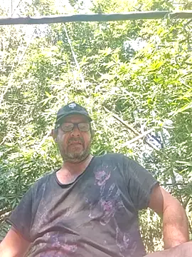 TryingWindn Webbikameraesitys