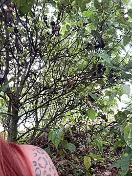 bunny_bicht Webcamshow