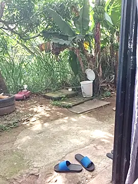 venusandzeus@xh webkamerás műsora