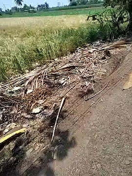 Show de naveen66554 na webcam