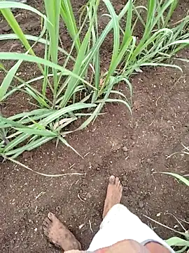naveen66554 ওয়েবক্যাম শো