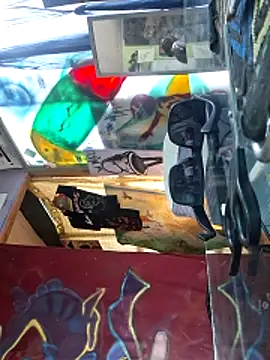 Toycockhot webcam show
