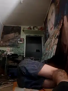 Toycockhot Pertunjukan Webcam