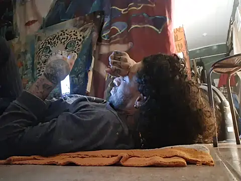 Toycockhotn Webbikameraesitys