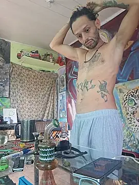 Show de Toycockhot na webcam