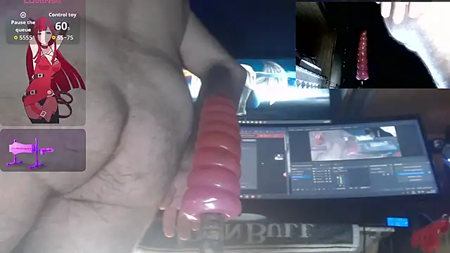 Show webcam de moneg