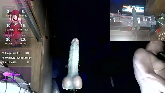 moneg Webcam show