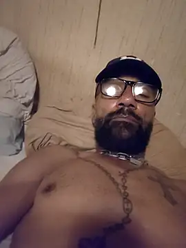 pigDany Webcam Show