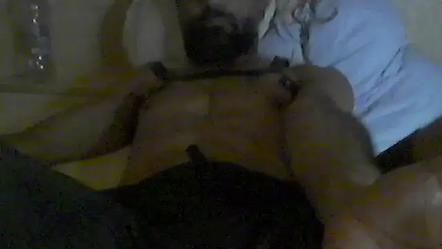 Show de webcam de pigDany