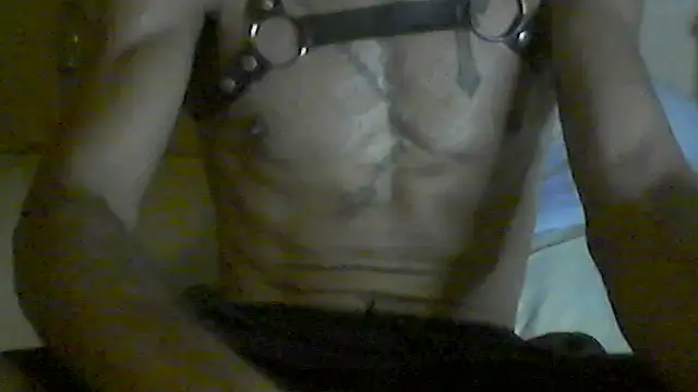 Show de pigDany na webcam