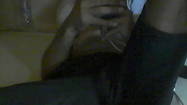 Show webcam de pigDany