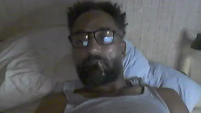 Show webcam de pigDany