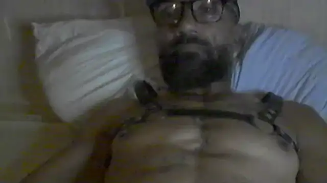 pigDany Pertunjukan Webcam