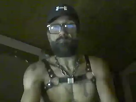 Show de webcam de pigDany