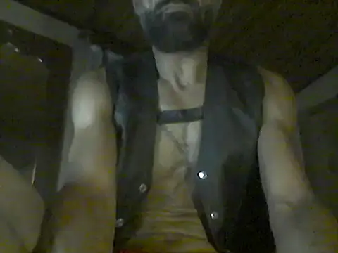 Show webcam de pigDany