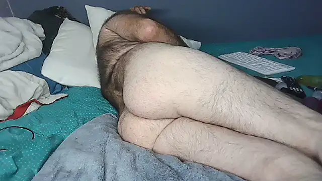 Show Webcam de k-dong