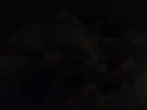 k-dong Шоу с уебкамера