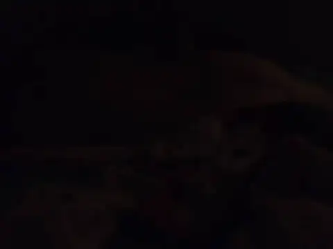 k-dong's Webcam Show