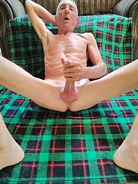 הופעת וובקאם של cockshowy