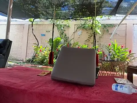 Show webcam de Neil_and_isaac