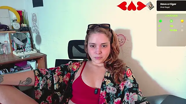 Show de BaeFreq na webcam