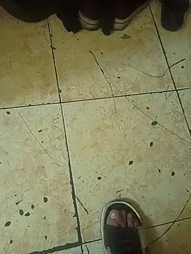 Stallionbull37 Adlı Modelin Web Kamerası Şovu