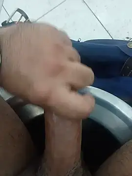 Stallionbull37 Pertunjukan Webcam