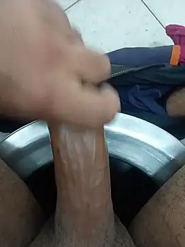 Stallionbull37 – webcam-show