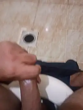 Stallionbull37 Webcam show
