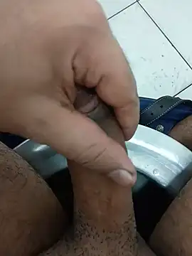 Stallionbull37 Show Webcam