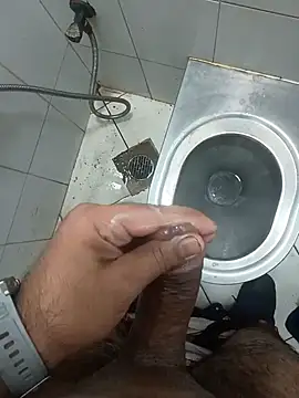 Stallionbull37 Pertunjukan Webcam