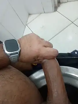 عرض كام Stallionbull37