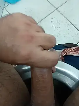 Stallionbull37 webcam show