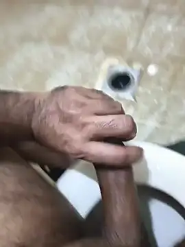 عرض كام Stallionbull37