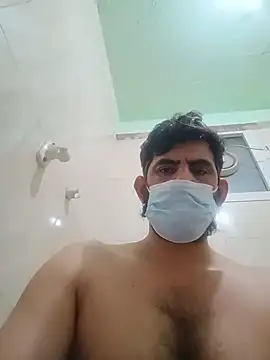 عرض كام Stallionbull37