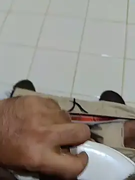 عرض كام Stallionbull38