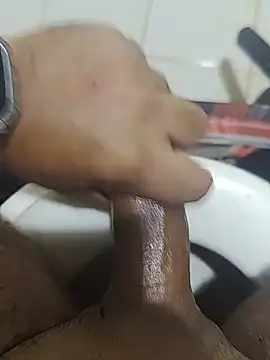 Stallionbull38 webcam show