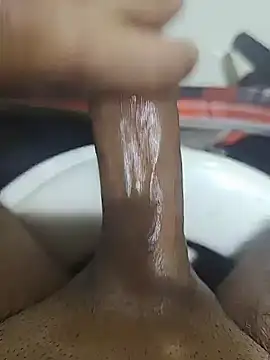 Stallionbull38 Webcam show