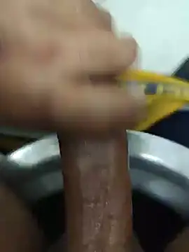 Stallionbull38 Show Webcam