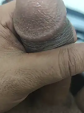 عرض كام Stallionbull38