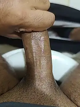 عرض كام Stallionbull38