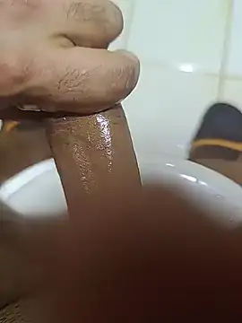 عرض كام Stallionbull38