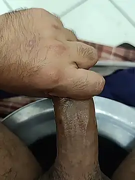 عرض كام Stallionbull38