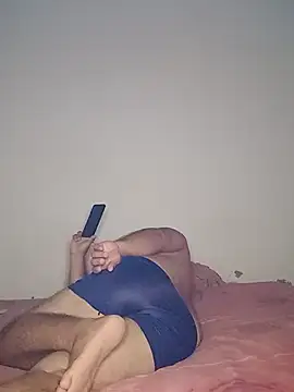 tarra122n Webbikameraesitys