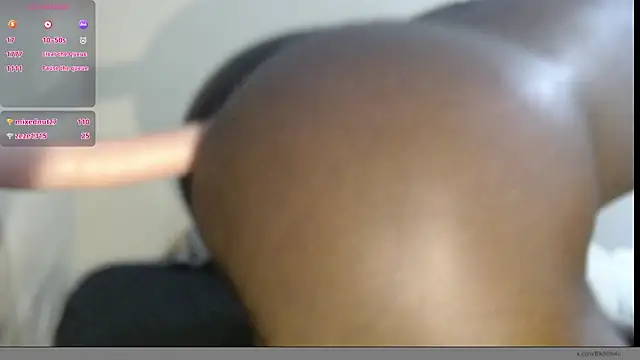 Show Webcam de BlkKing9in