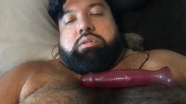 Show webcam de TheKingWasi