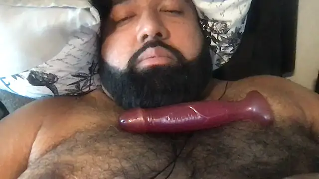 Show webcam de TheKingWasi