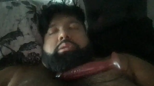 Show webcam de TheKingWasi